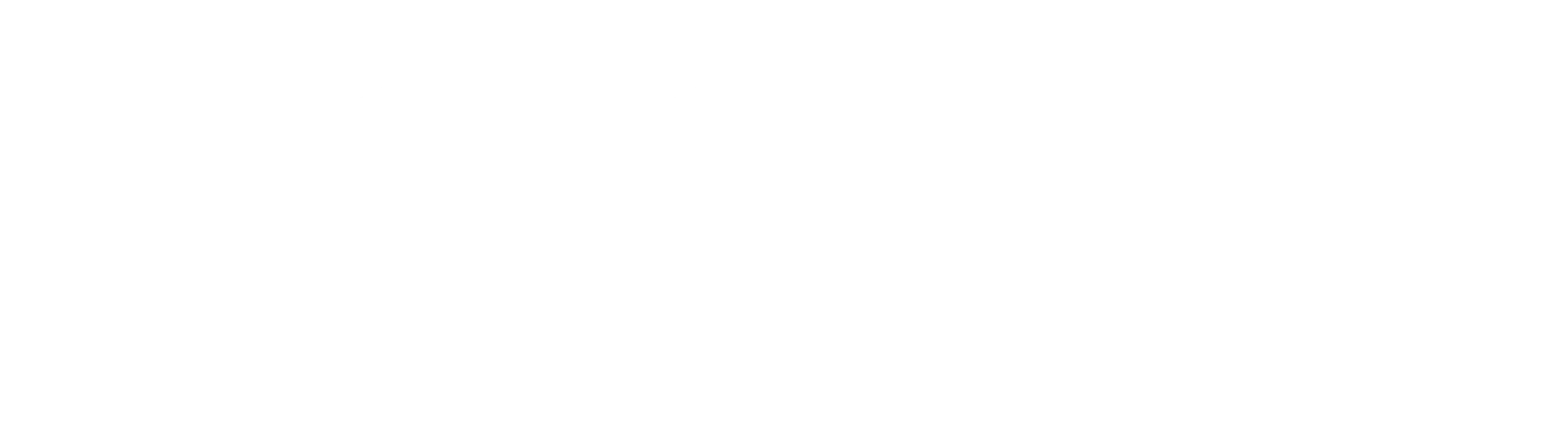 logo light